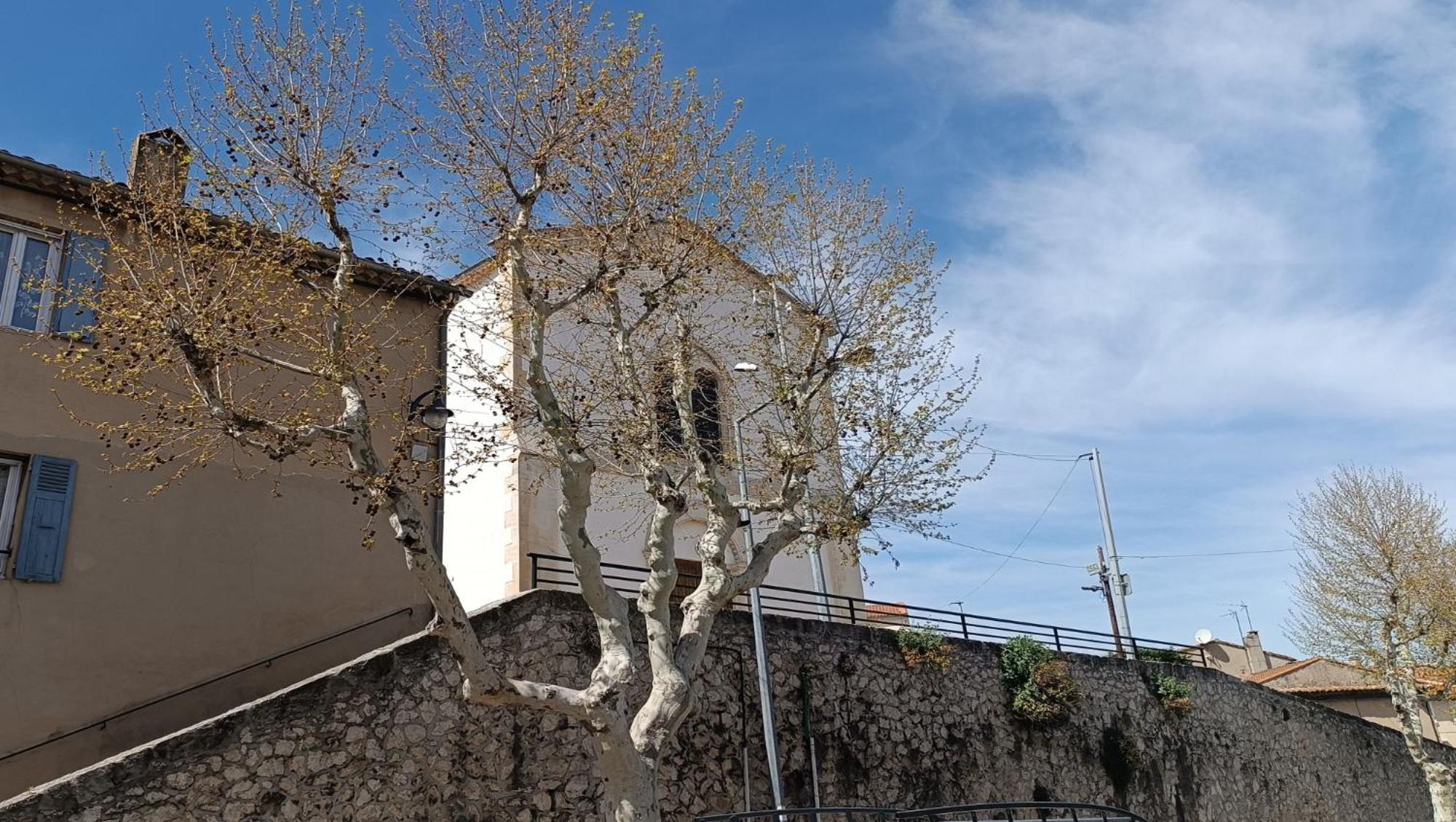 Sariette - Spacieux - Linge Hotelier - Fibre - Confort Apartment La Destrousse